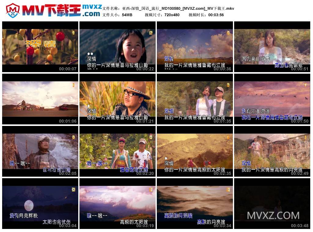 亚西-深情_国语_流行_MD100580